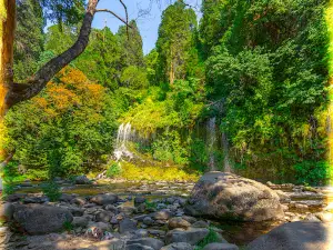 Mossbrae Falls
