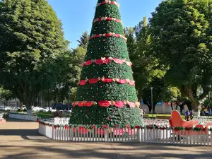 Plaza De Armas Victoria