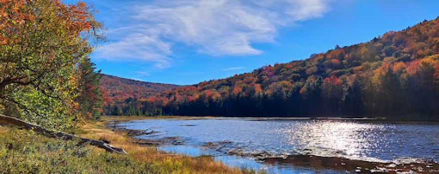 Moose River Plains Wild Forest