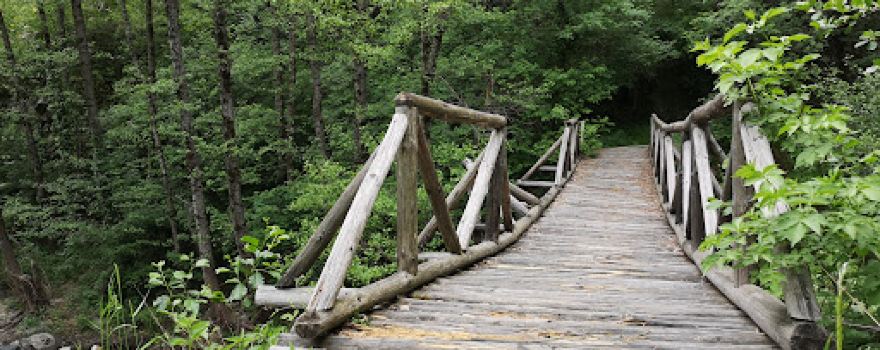 Wooden Bridge over the Kanina River