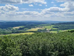 Zauberwald Hambachtal