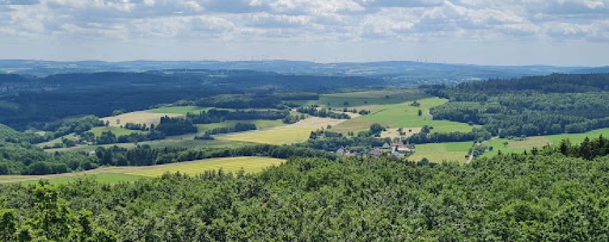 Zauberwald Hambachtal