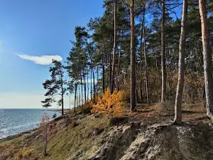 Skarpa widokowa Piaski