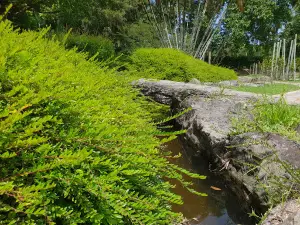 Kolam taman pertanian sabah, lagud seberang tenom