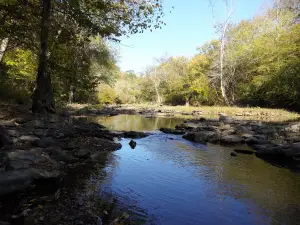 Locust Fork