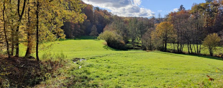 Naafbachtal Nature Reserve