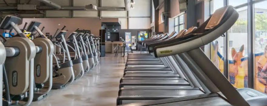 Fitness Park