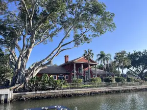 High Tide Tiki Tours