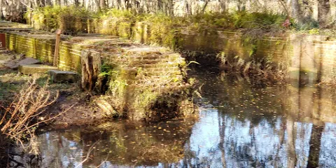 Savannah and Ogeechee Canal