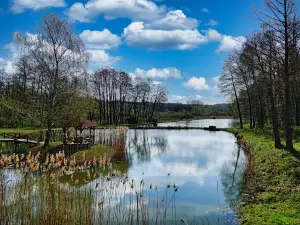 Tokaji Forest Park