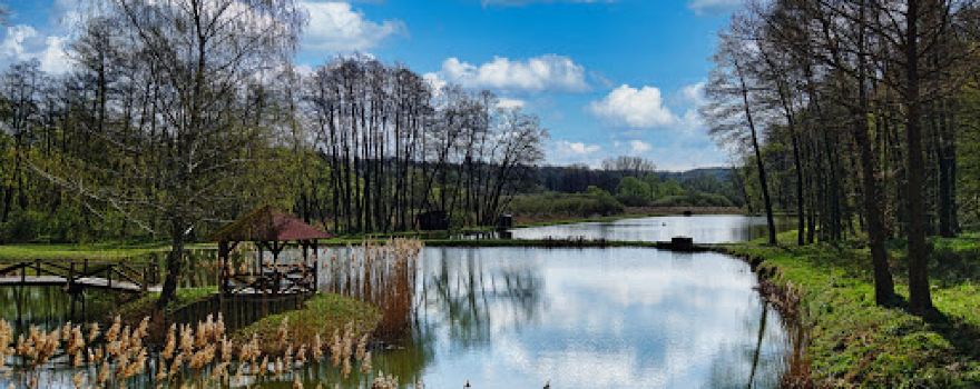 Tokaji Forest Park