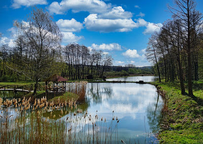 Tokaji Forest Park