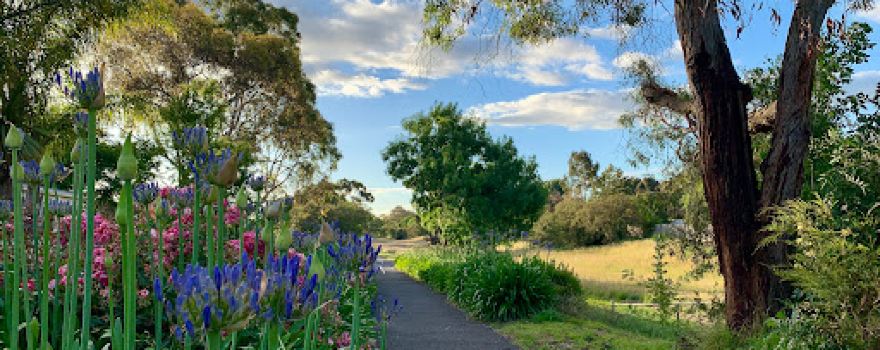 Liberty Avenue Reserve