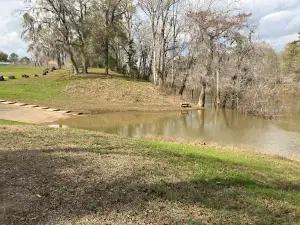Mile Branch Park