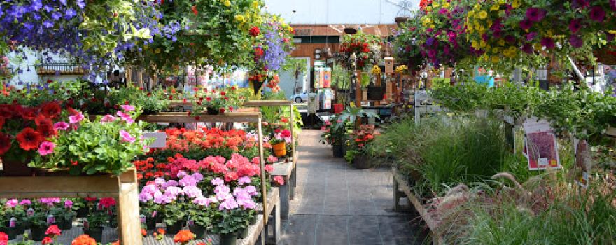 Fleuri-Cap | serres - centre jardin