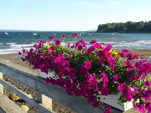Searsport Public Pier