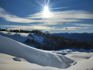Reserva Nacional Villarrica