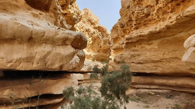 Wadi Degla Reserve