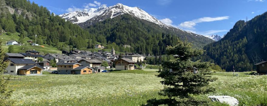 Camping du Grand-Saint-Bernard