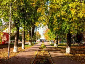 Парк им. Меньшикова