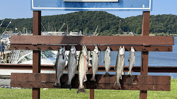 A Day Away Charter Fishing