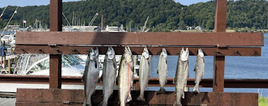 A Day Away Charter Fishing