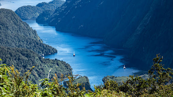 RealNZ | Doubtful Sound Cruises