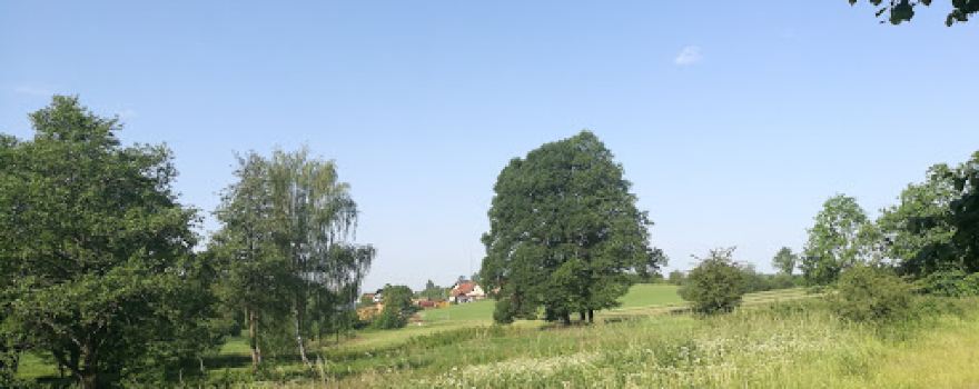 Sportheim ASV