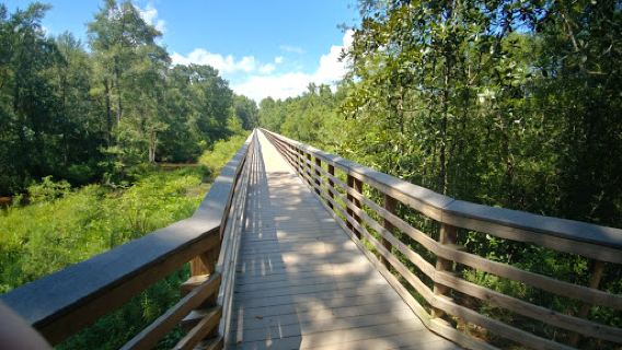 Forever Wild Trails
