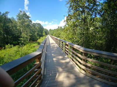 Forever Wild Trails