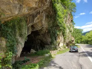 Island Ford Cave
