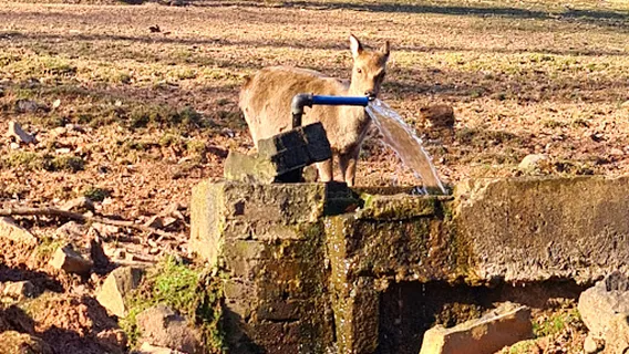 Wildpark Völklingen