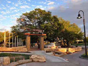 The Bosque along the Concho River