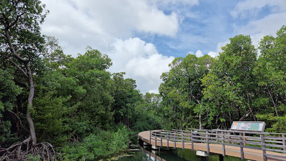 Curaçao Rif Mangrove Park