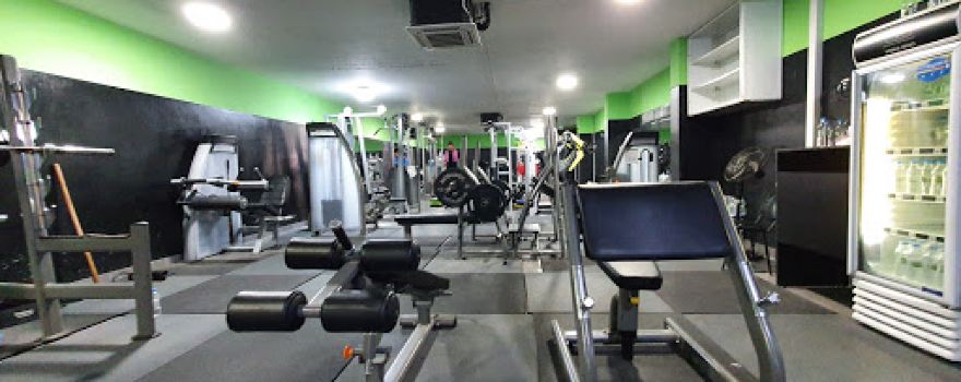 Roy H. Fitness