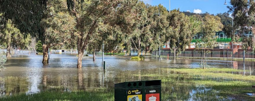 Hovell Tree Park