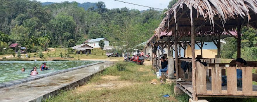 Kolam Renang Hijau Asri