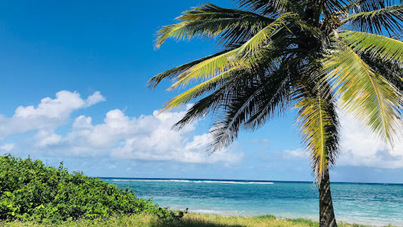 Columbus Landing Site