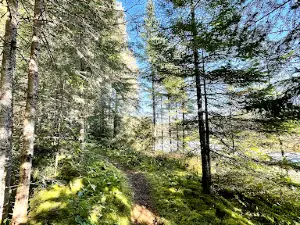 White Lake Provincial Park Campground