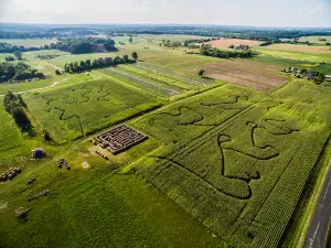 Cuff Farms