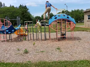 Tower Park