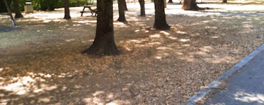 Parco Trebbo Di Reno