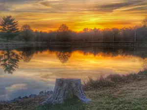 Jackson City Park