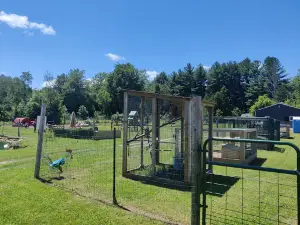 Timber Creek Petting Farm