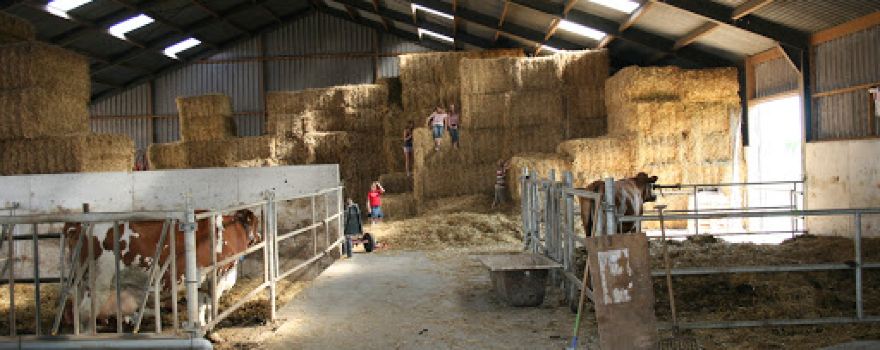 Boerderijcamping Gieben