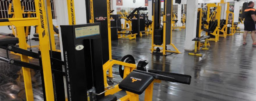 Sunny Gym