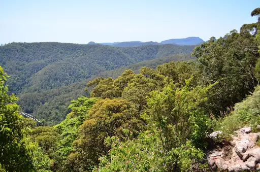Springbrook Mountain