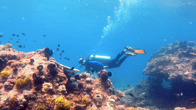 Ranmarc Dive Shop and Services