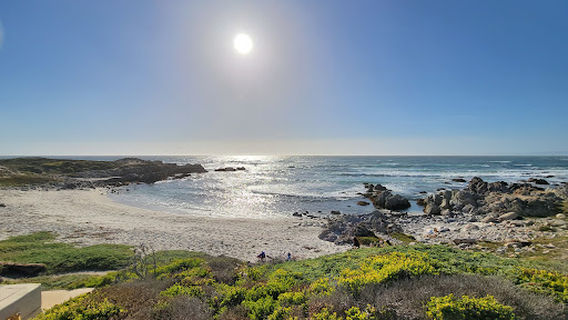 Asilomar Beach View