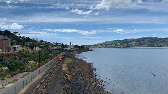 Dunedin